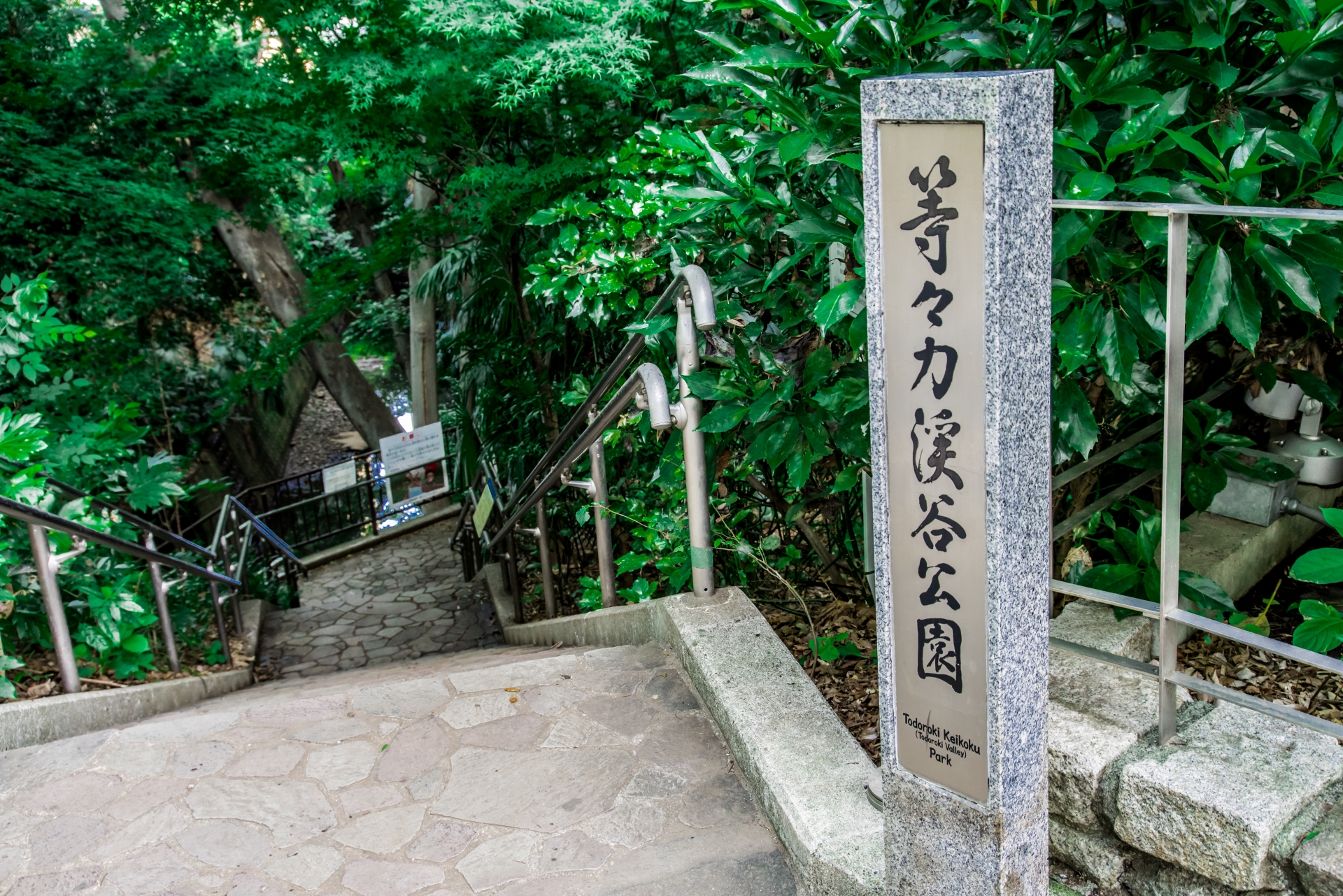 世田谷区にある等々力渓谷