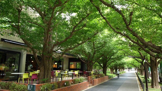 キハチ 青山本店の外観