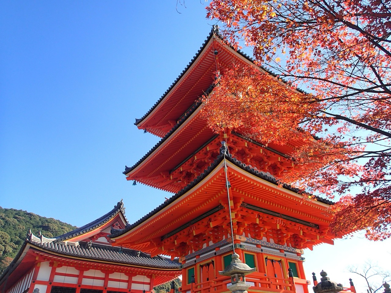 秋の京都の五重塔の風景